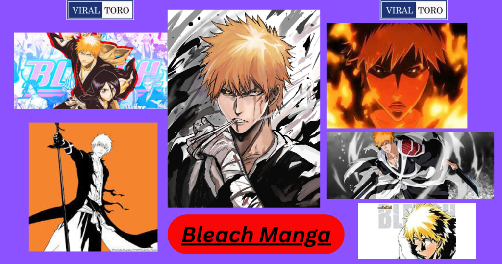 Bleach Manga